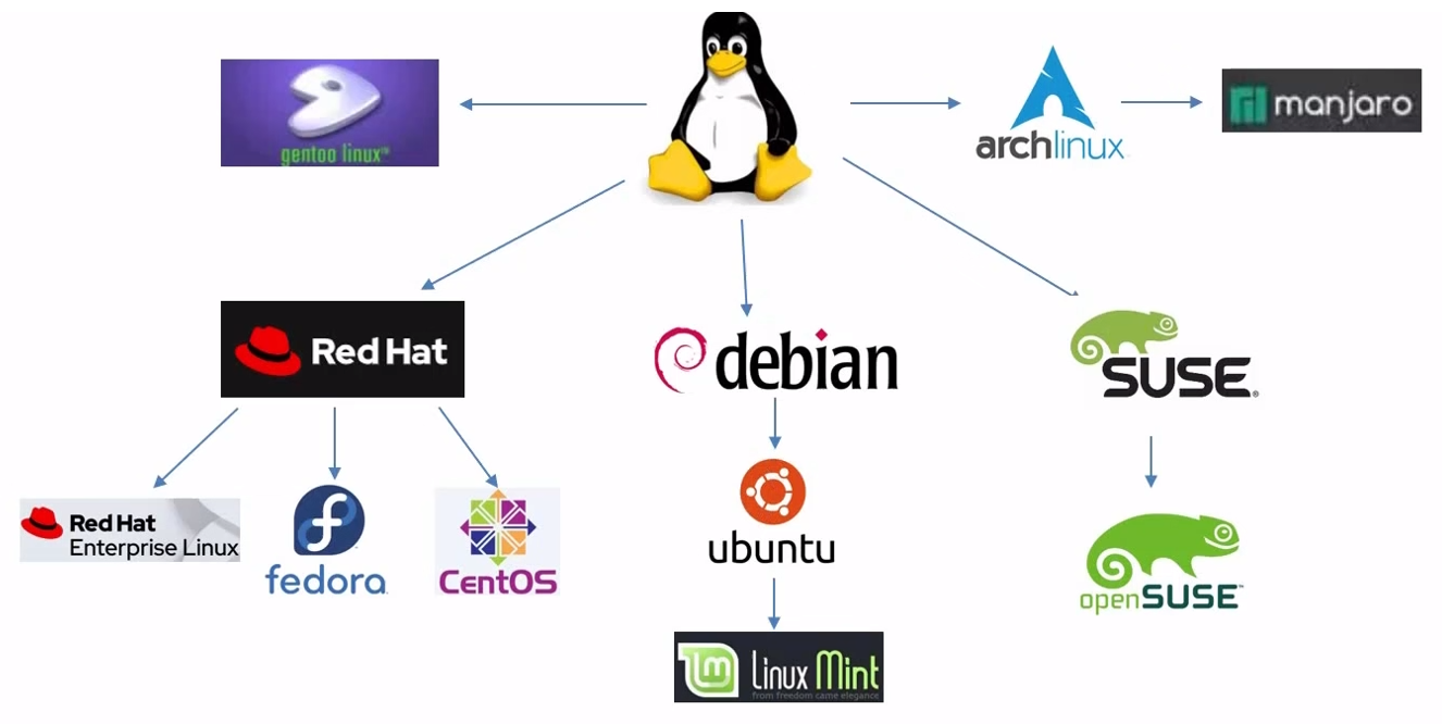 什么是 Linux 发行版？什么是 Linxu 操作系统？